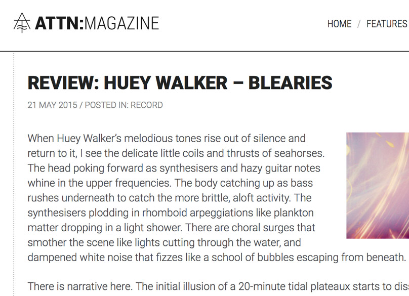 Review-Roundup: Various Words on Blearies by Huey Walker