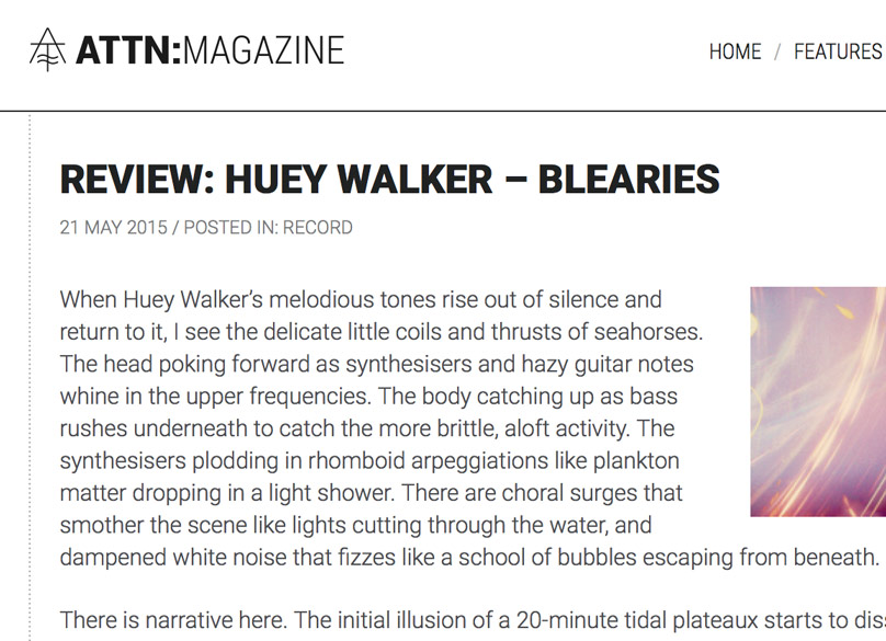 Review-Roundup: Various Words on Blearies by Huey Walker