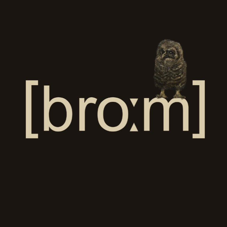 [broːm]